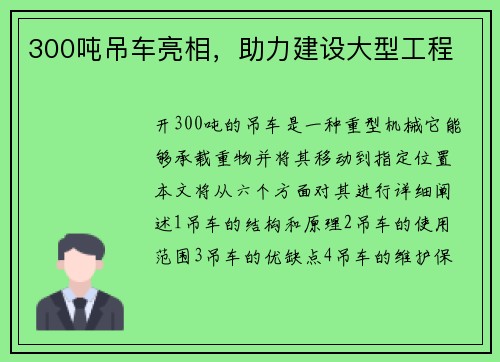 300吨吊车亮相，助力建设大型工程